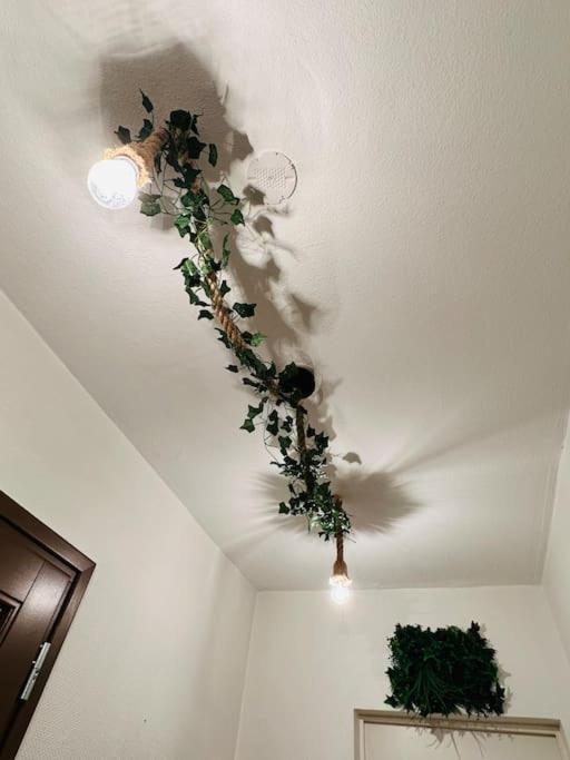 The Jungle Strasbourg Apartment *