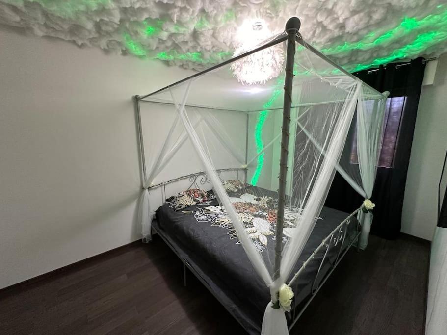 Apartment The Jungle Strasbourg Schiltigheim