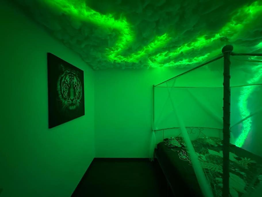 The Jungle Strasbourg Apartment Schiltigheim